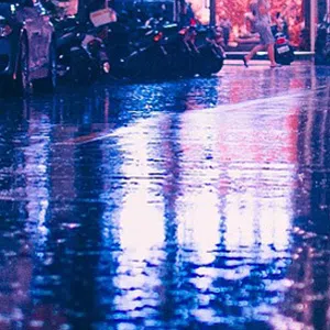 레인