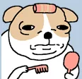 개발자테스트용